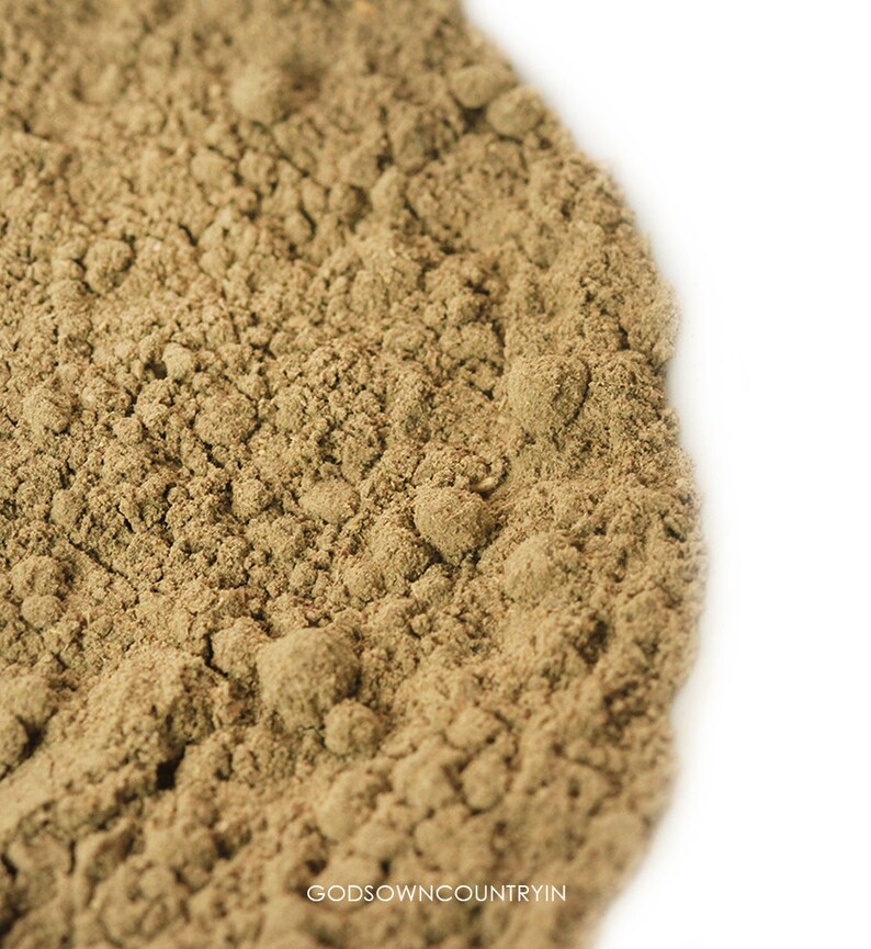 Organic Brahmi Powder: Strength for Hair, Mind, and Body_BrainAcademy.store