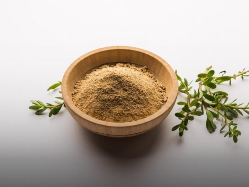 Organic Brahmi Powder: Strength for Hair, Mind, and Body_BrainAcademy.store