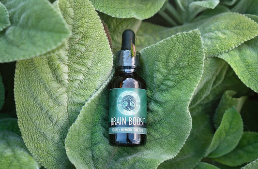 BrainPower Elixir : concentration naturelle et booster de mémoire