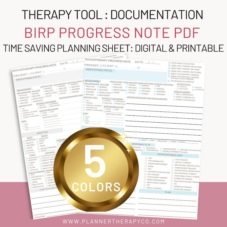 BIRP Psychotherapy Progress Note Template with MSE_BrainAcademy.store