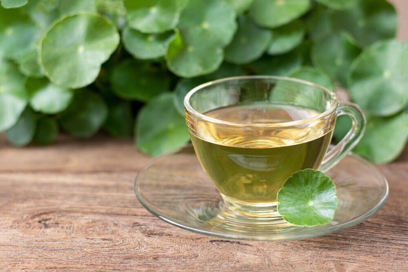 Tisane Gotu Kola : Élevez votre esprit