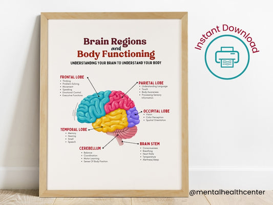 Affiche sur la science du cerveau : anatomie, thérapie et bien-être