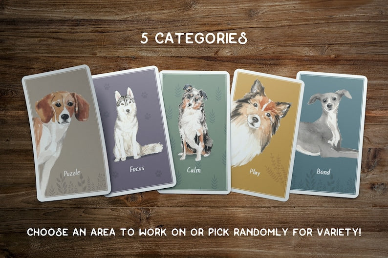 Jeu de cartes enrichissant pour jeux et activités pour chiens