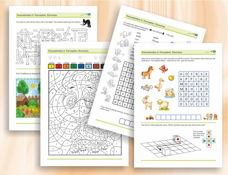 Concentration & Perception Workbook for Kids (Age 8+)_BrainAcademy.store