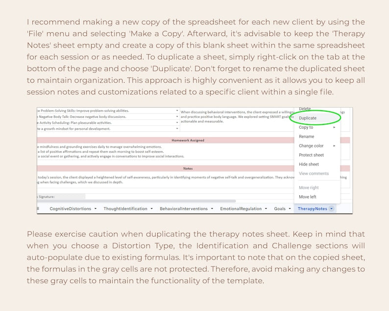 CBT Therapy Notes & Session Template_BrainAcademy.store