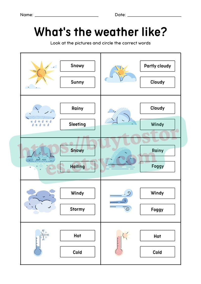 Vivid Vocabulary Builder: White Edition_BrainAcademy.store