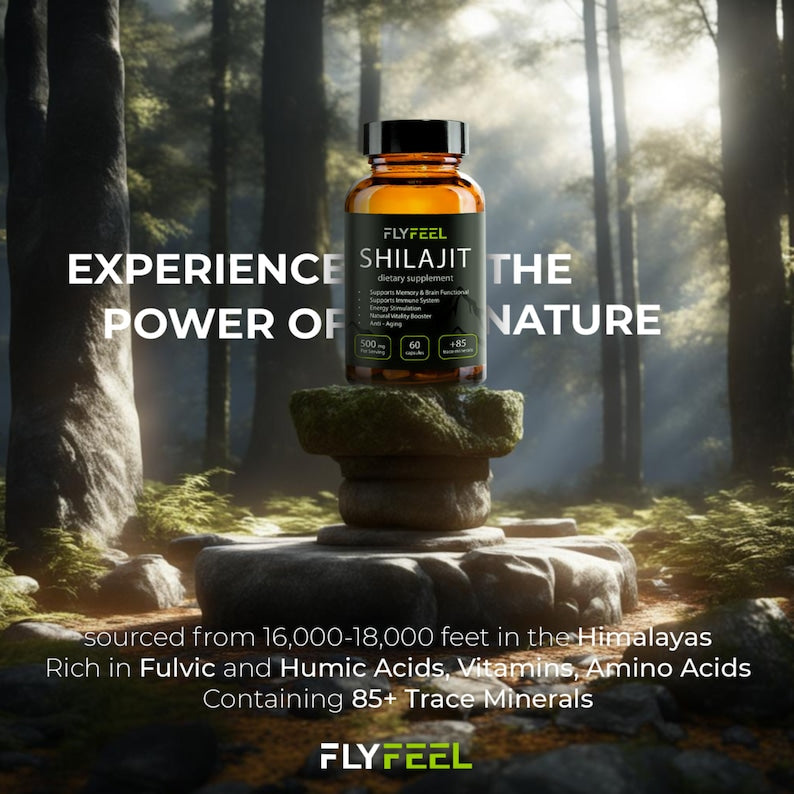 Shilajit de l'Himalaya : énergie biologique et stimulant cérébral